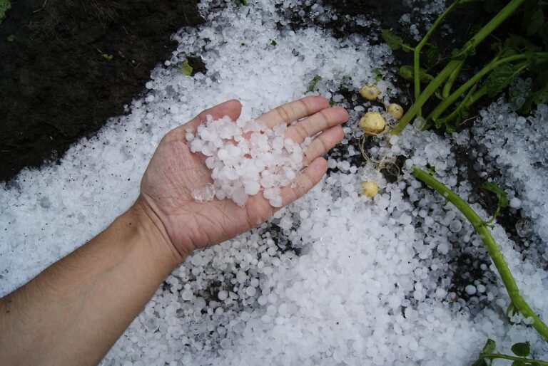 first snow, hail, summerotakoeleto, hail, hail, hail, hail, hail-1821255.jpg